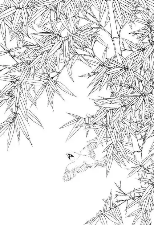 精彩白描竹子欣赏二020202学习的最佳范本