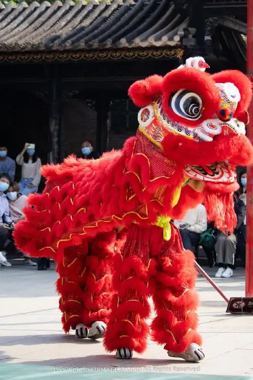 【大卫行摄】佛山醒狮,震撼人心的岭南文化瑰宝.