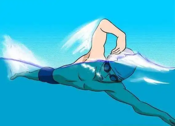 中游体育:自由泳应该高肘移臂 但为什么有些运动员直臂移臂