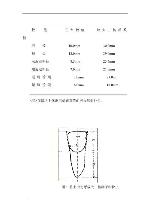 上颌切牙雕刻附图