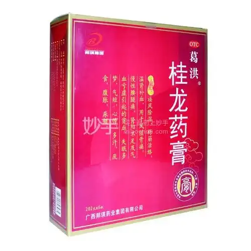 葛洪桂龙药膏202g6瓶