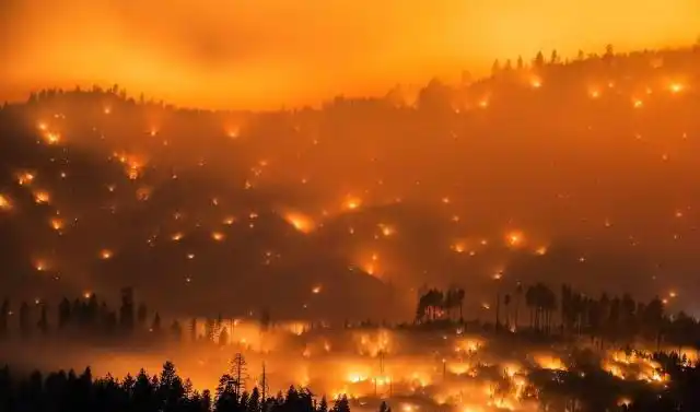 新西兰爆发罕见的森林大火,火势呈燎原之势,一发不可收拾