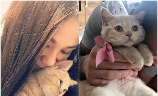 蔡健雅和外籍男友相恋6年,复合三次,已有"结晶",男友甜点师_感情_微博