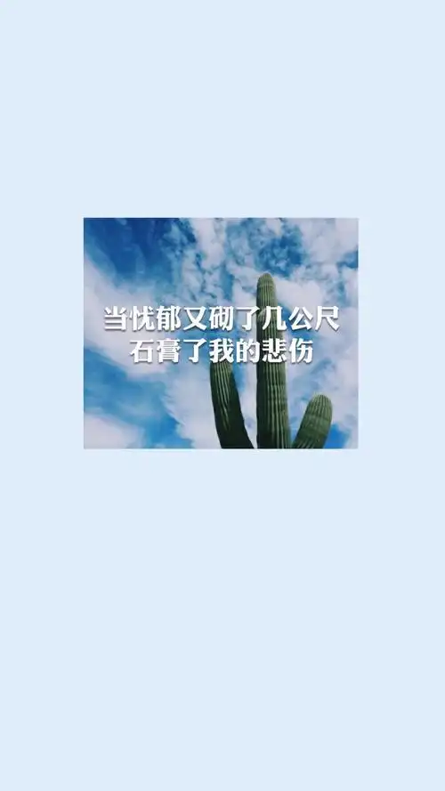 歌词壁纸苏打绿《墙外的风景》