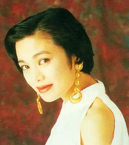 p>张艾嘉(sylvia chang),1953年7月21日出生于中国台湾,祖籍山西五台