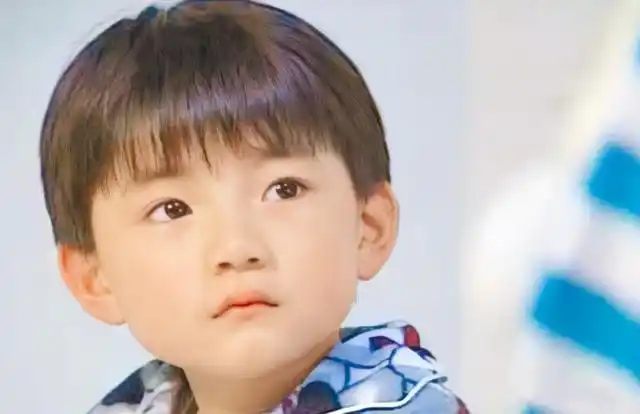 娱乐圈|杨紫|小s|小童星_网易订阅