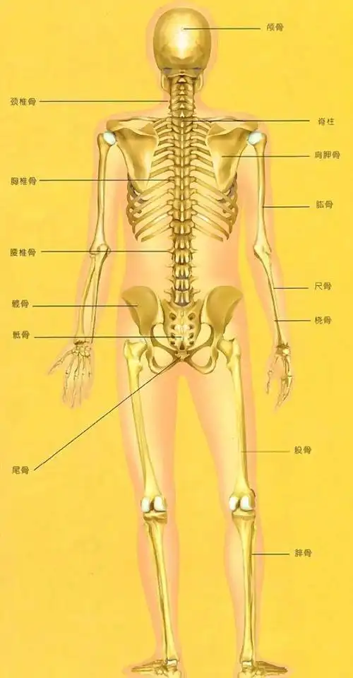 黄帝内经之虚岁,谋事之先