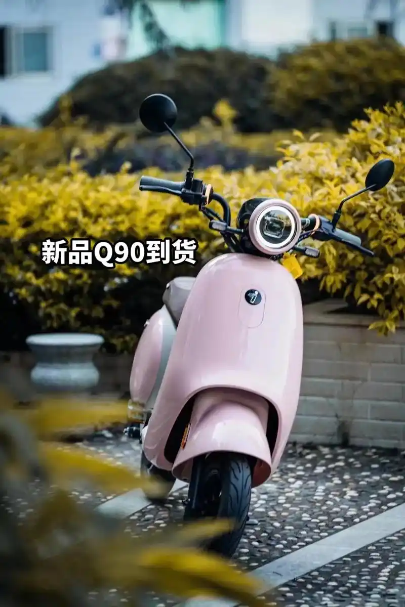 九号电动车 q90 25a锂电 新国标.新品q90电动自行车 - 抖音