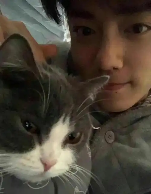 240131小赞同学与坚果宝贝肖战的日常温馨瞬间