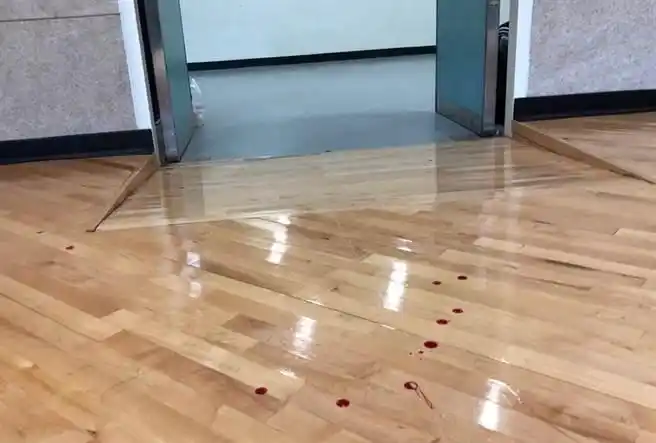 陈顺详手指骨折滴血 韦总:本季报销了