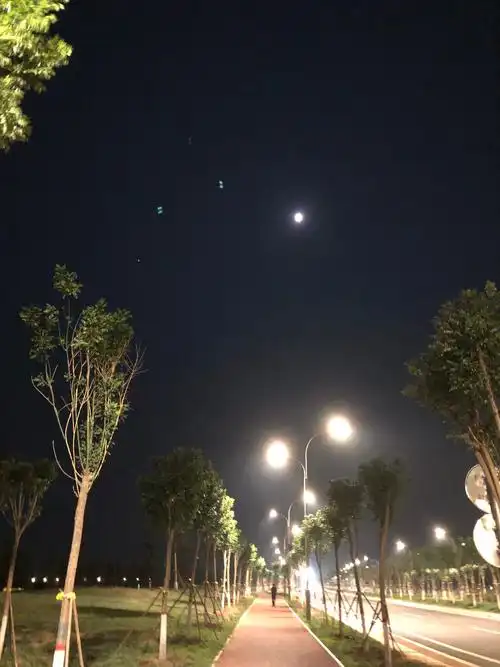 看看这夏天的乡村夜景,宁静,祥和,质朴,听着音乐散散步也挺好.