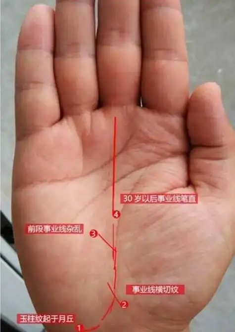 手掌出现两条平行纹(手掌出现两条平行纹路)