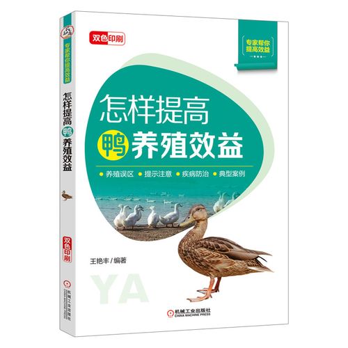 提高鸭养殖效益 高效养鸭养鸭关键技术大全书籍 养鸭书 养鸭技术大全