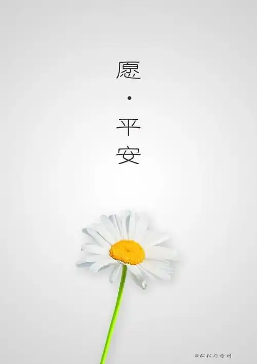 健康平安今天八点剖腹产,祈祷平安顺遂2019年2月第1天广州市一只小