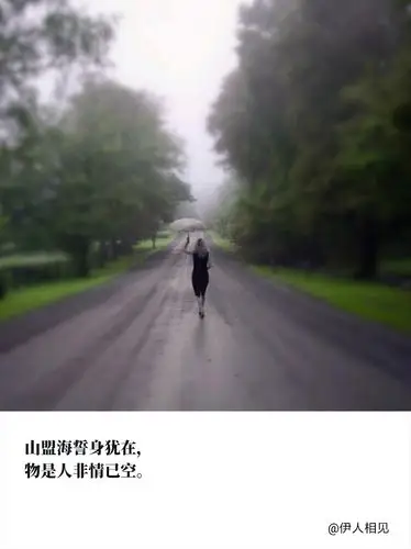 致每一个匆匆的过路人