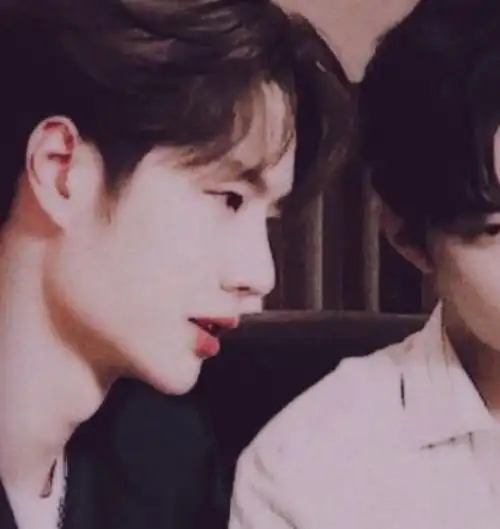 肖战王一博(头像/情头)