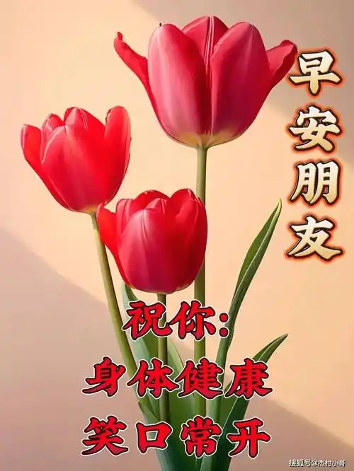 2023年11月11日最新早上好,漂亮早安问候语图片带字温馨_祝福_朋友