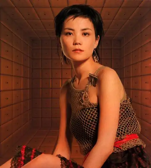 你王菲所以我王菲:2001王菲