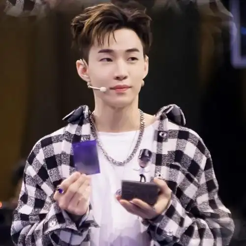 头像|刘宪华头像