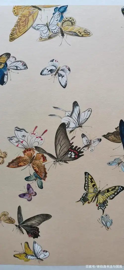 一幅没有其他花卉衬托的百蝶图