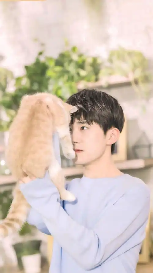 190411  优酷vip会员抱着猫的小男孩 好温柔好温柔视频:易烊千玺
