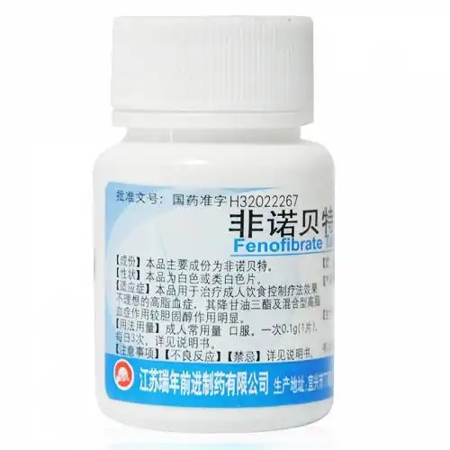 前药 非诺贝特片 0.1g*100片