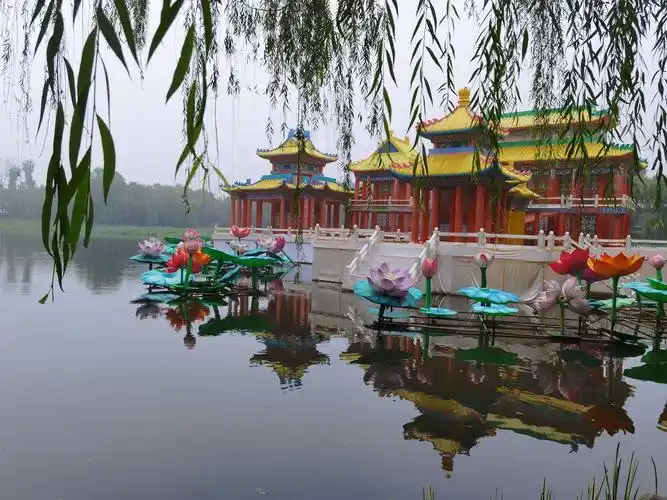 夏日清爽荷塘美 烟雨朦胧圆明园