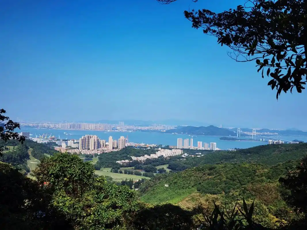 黄山鲁森林公园  南沙区中心天然氧吧!强烈推荐!适合徒步健身!