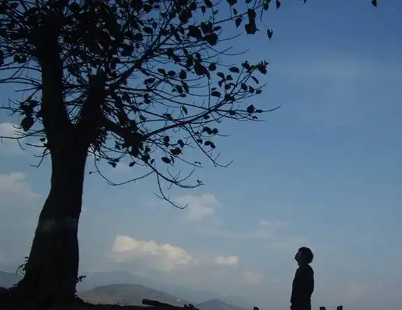 夜深人静的时候,问问自己,和自己的内心说说,让浮躁的心情慢慢平静