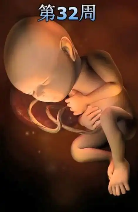 孕期140周胎儿在妈妈肚子里长什么样看完这组彩超就明白了