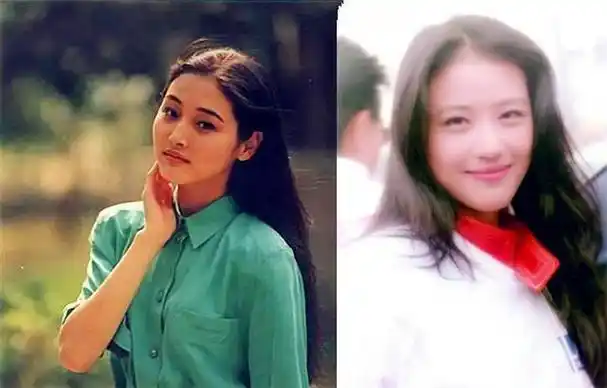 张延年轻时神似女星周海媚,很多观众都觉得张延和周海媚特别像.