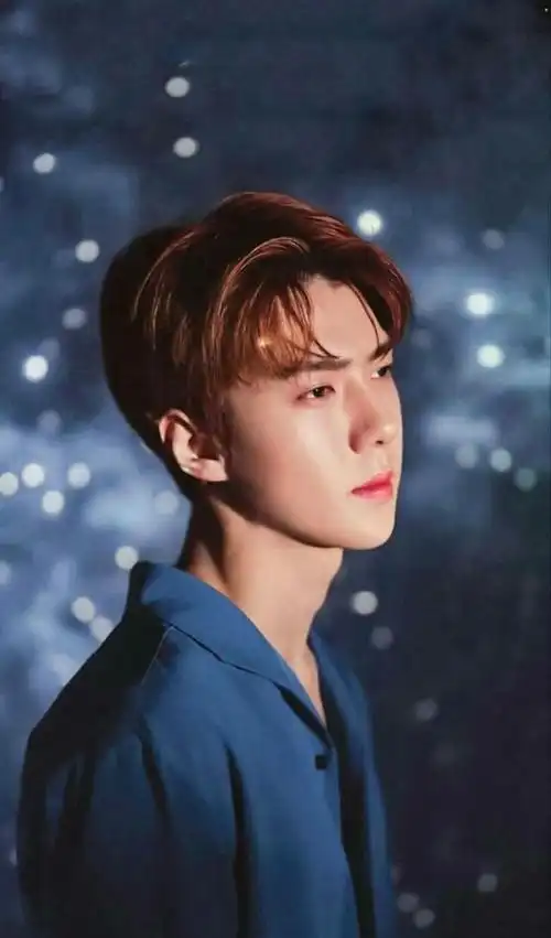 吴世勋 (个人ins关注数:2109万)自10月末爆发的疑似女友恋爱负面事件