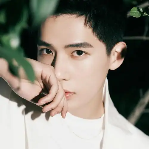 95后00后男明星帅哥