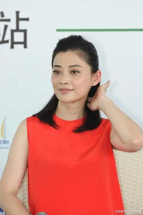 梅婷为做演员先退役后退学两次闪婚如今儿女双全