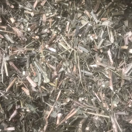 野生穿心莲一见喜苦胆草金耳钩干货500克