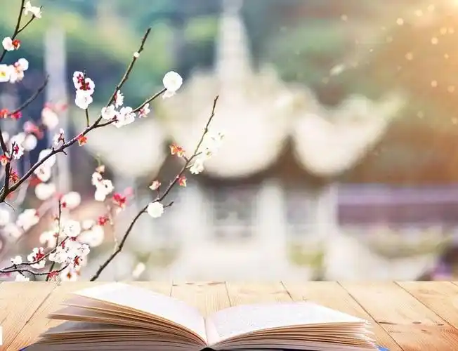 桥西区四维小学|书香进校园 书海共畅游