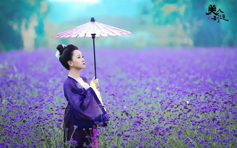 古装美女杨蓉壁纸_这样的美女杨蓉