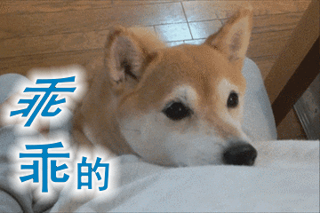 汪星人搞笑动图表情包第二弹