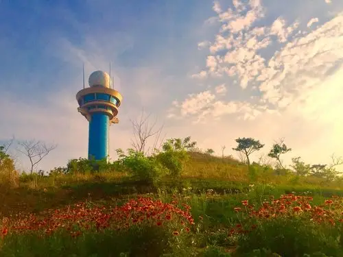 营口市大石桥市