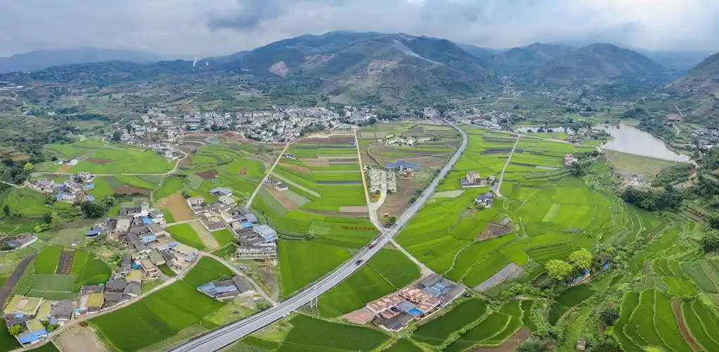 巡礼十三五丨盐边聚焦现代农业助推乡村振兴