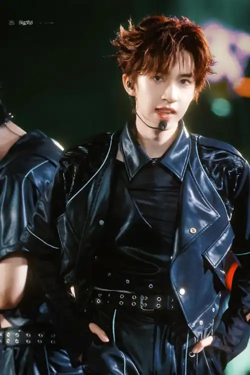 贺峻霖 梦蝶破笼