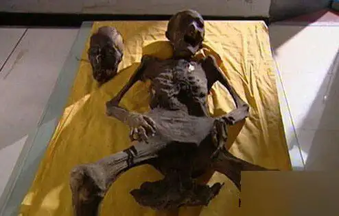 人死后为什么要停灵三日?清代的一具体女干尸给出了答案