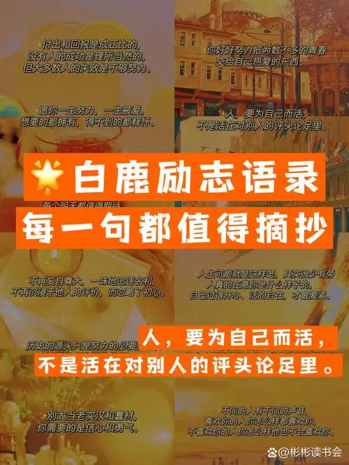 作文素材✏️白鹿励志语录🔥跟着明星写作