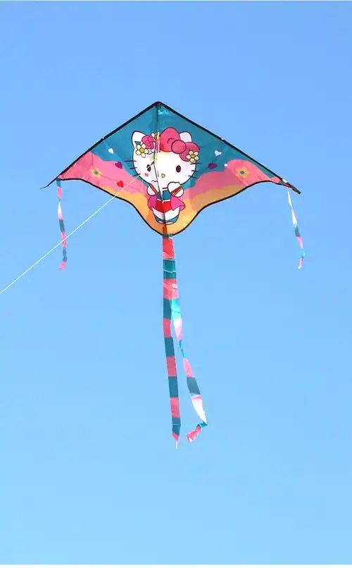 南啵丸风筝儿童微风易飞奥特曼皮卡丘艾莎公主初学者潍坊卡通新款小