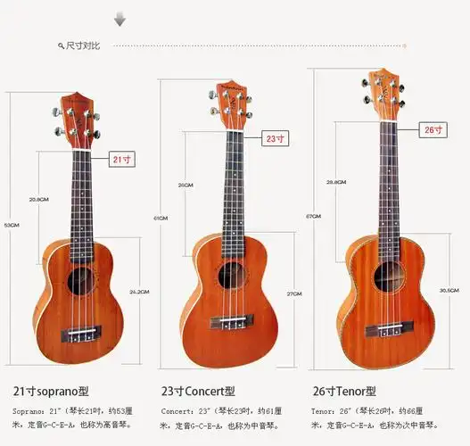 初学尤克里里适合用什么尺寸 价格 - 墨舞斋主人 - 墨舞网易