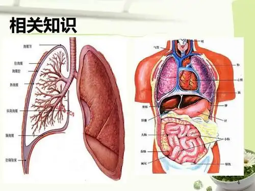 胸腔闭式引流的注意事项ppt课件ppt
