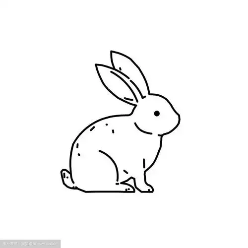 可爱的兔子兔子线条美术画