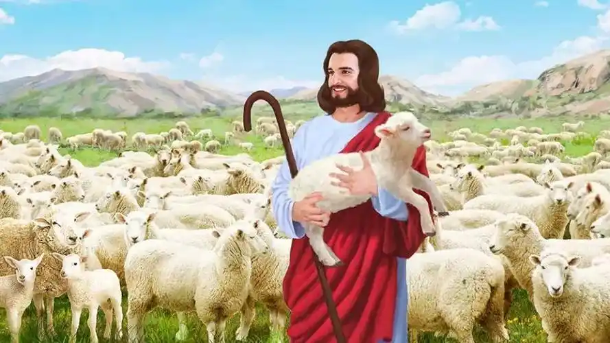 乡村爱情版《断背山》以性感与深情令人潮湿.