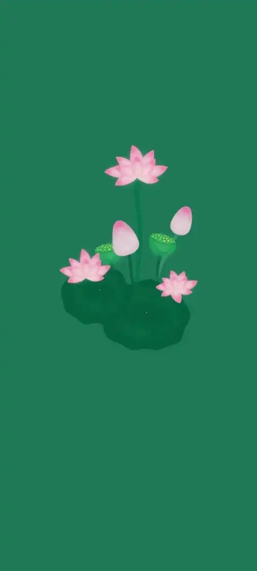 清新绿色护眼荷花壁纸