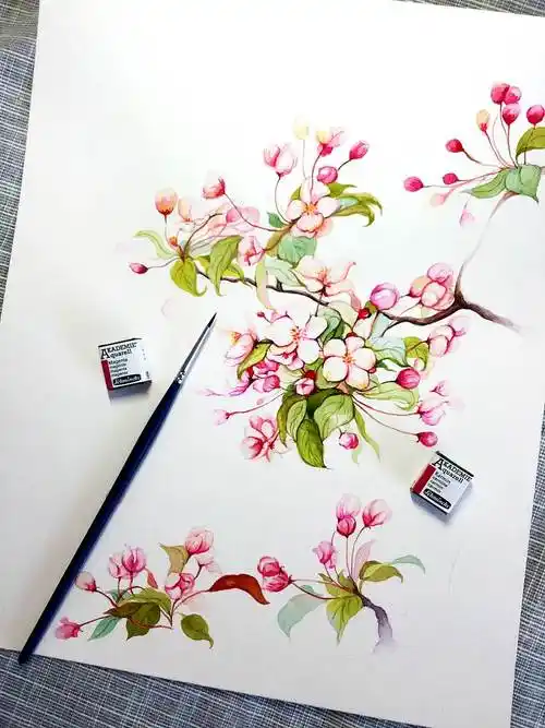 海棠花水彩画海棠花水彩画法